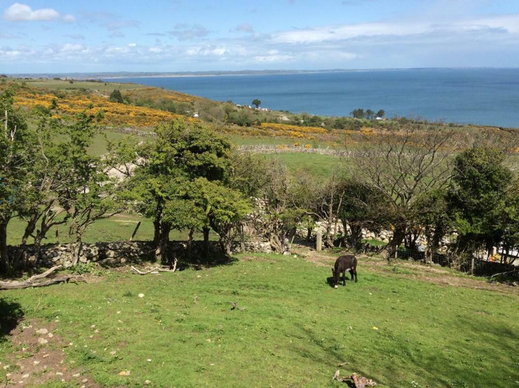 Stunning Views At Ballagh Cottage Newcastle Newcastle  Luaran gambar